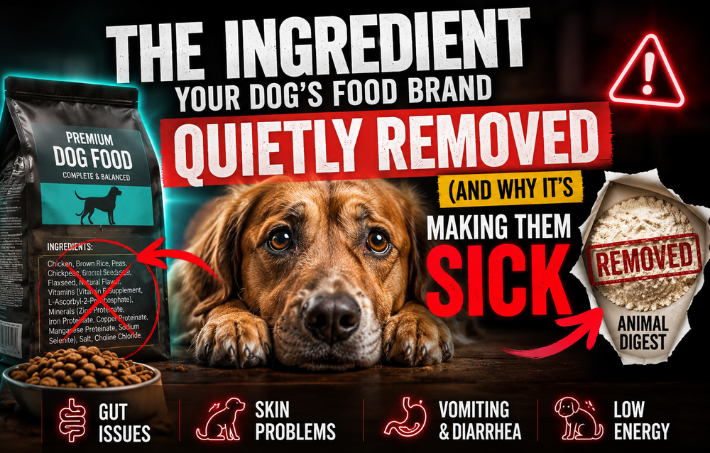 The Ingredient Your Dog’s Food Brand Quietly Removed (And Why It’s Making Them Sick)