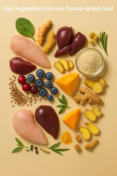 Why Picky Eaters Aren’t “Fussy”. They’re Trying to Tell You Something