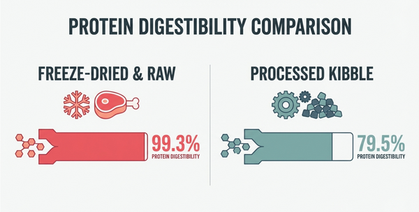 Hidden Costs of Cheap Dog Food: Vet-Backed Alternatives Guide Released