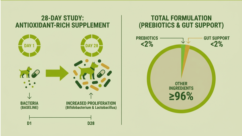 Dog Food Ingredients Destroying Gut Health: Alternative Diet Guide Released