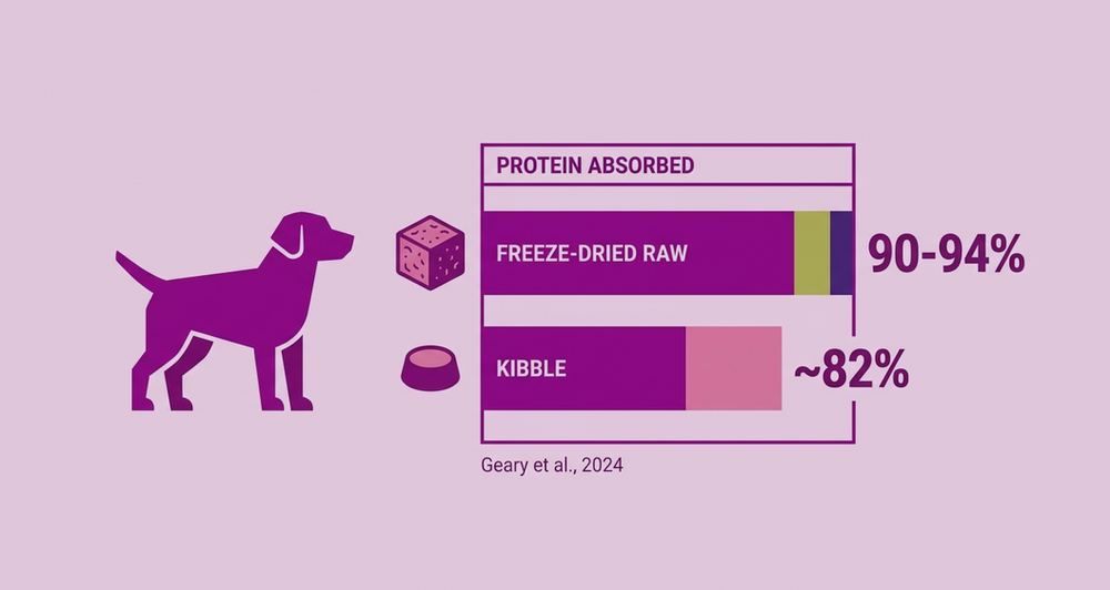 What UK Vets Are Saying About Freeze-Dried Raw Diets in 2026: Is It Actually Worth It?