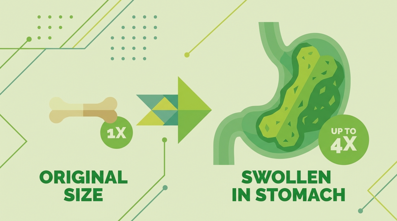 Are Rawhide Chews Actually Safe for Dogs? What UK Vets Recommend Instead