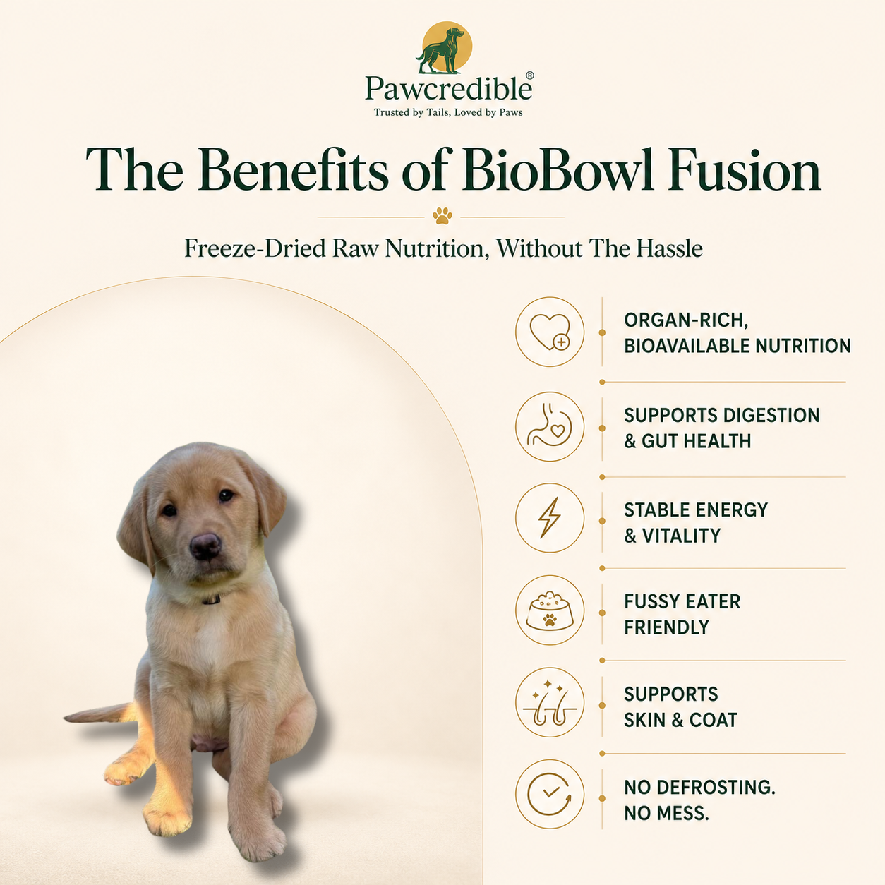 Pawcredible BioBowl Fusion Freeze-Dried Raw-Coated Kibble - Chicken, Grain-Free, 6kg